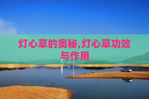 灯心草的奥秘,灯心草功效与作用