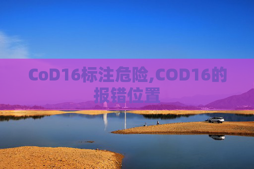 CoD16标注危险,COD16的报错位置