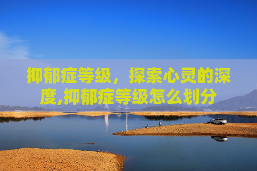 抑郁症等级，探索心灵的深度,抑郁症等级怎么划分
