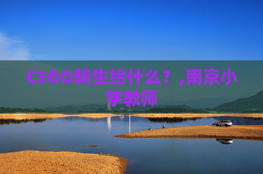 CSGO转生给什么？,南京小学教师