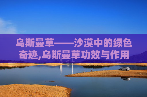 乌斯曼草——沙漠中的绿色奇迹,乌斯曼草功效与作用