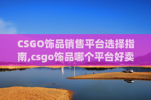 CSGO饰品销售平台选择指南,csgo饰品哪个平台好卖一点