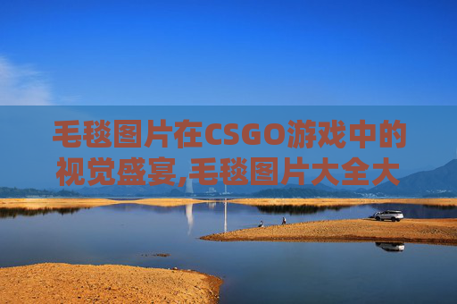 毛毯图片在CSGO游戏中的视觉盛宴,毛毯图片大全大图
