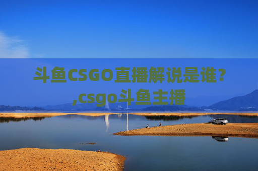 斗鱼CSGO直播解说是谁？,csgo斗鱼主播