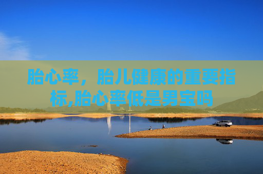 胎心率，胎儿健康的重要指标,胎心率低是男宝吗