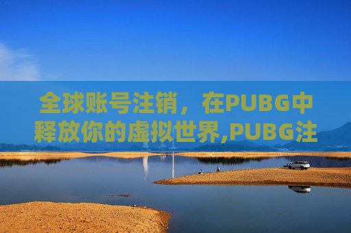 全球账号注销，在PUBG中释放你的虚拟世界,PUBG注销账号入口