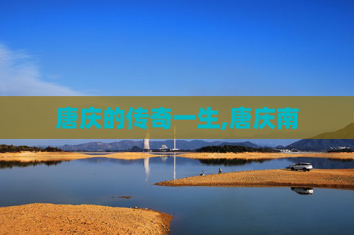 唐庆的传奇一生,唐庆南
