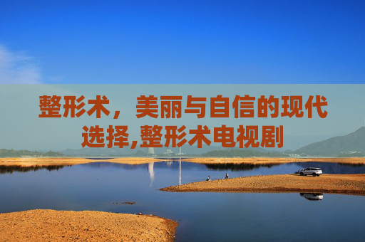 整形术，美丽与自信的现代选择,整形术电视剧