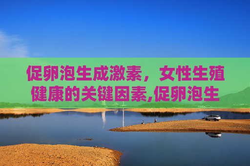 促卵泡生成激素，女性生殖健康的关键因素,促卵泡生成激素是什么