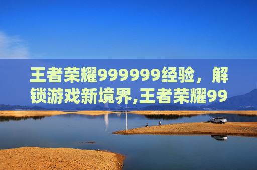 王者荣耀999999经验，解锁游戏新境界,王者荣耀999999经验值满了怎么办