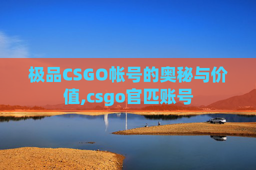 极品CSGO帐号的奥秘与价值,csgo官匹账号