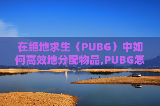 在绝地求生（PUBG）中如何高效地分配物品,PUBG怎么分物品