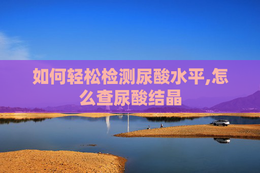 如何轻松检测尿酸水平,怎么查尿酸结晶