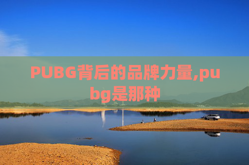 PUBG背后的品牌力量,pubg是那种