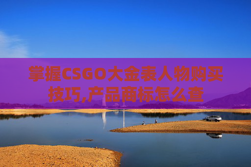 掌握CSGO大金表人物购买技巧,产品商标怎么查