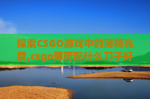 探索CSGO游戏中的薄荷亮度,csgo薄荷配什么刀子好看