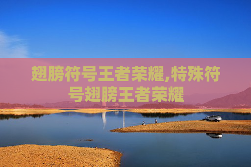 翅膀符号王者荣耀,特殊符号翅膀王者荣耀