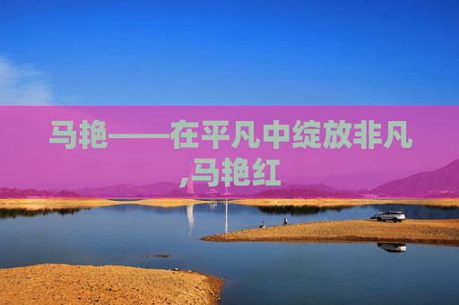 马艳——在平凡中绽放非凡,马艳红