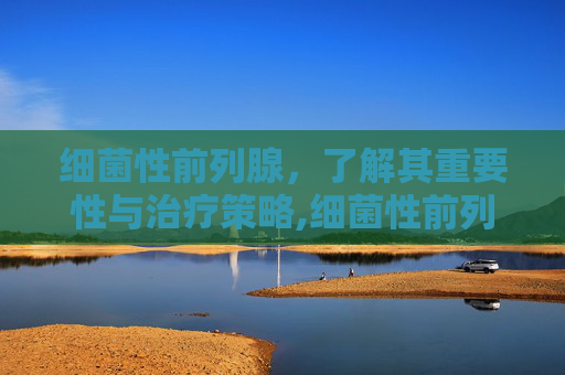 细菌性前列腺，了解其重要性与治疗策略,细菌性前列腺炎