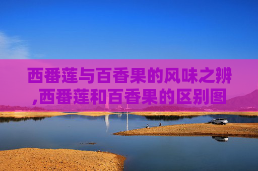 西番莲与百香果的风味之辨,西番莲和百香果的区别图片