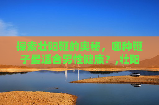 探索壮阳鞭的奥秘，哪种鞭子最适合男性健康？,壮阳鞭药材