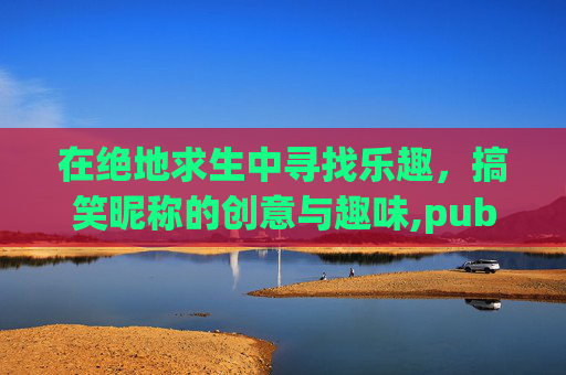 在绝地求生中寻找乐趣，搞笑昵称的创意与趣味,pubg搞笑英文名
