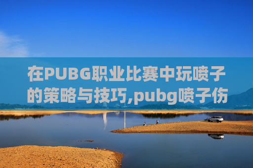 在PUBG职业比赛中玩喷子的策略与技巧,pubg喷子伤害排行