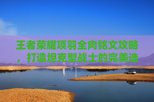 王者荣耀项羽全肉铭文攻略,打造坦克型战士的完美选择,王者荣耀项羽全肉铭文搭配 王者荣耀项羽全肉铭文攻略,打造坦克型战士的完美选择,王者荣耀项羽全肉铭文搭配