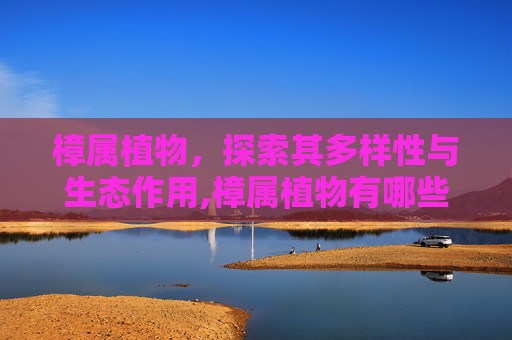 樟属植物，探索其多样性与生态作用,樟属植物有哪些