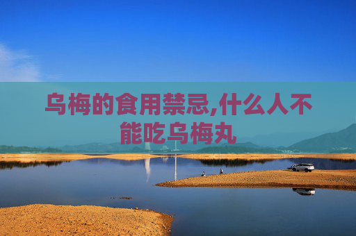 乌梅的食用禁忌,什么人不能吃乌梅丸 乌梅的食用禁忌,什么人不能吃乌梅丸