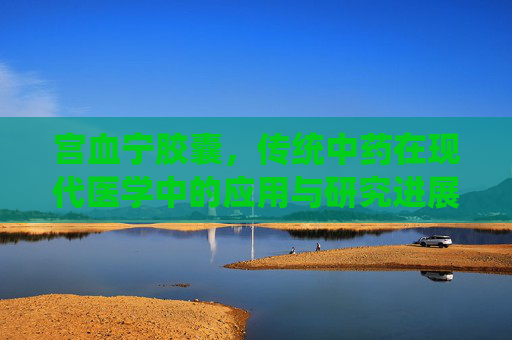 宫血宁胶囊,传统中药在现代医学中的应用与研究进展,宫血宁胶囊说明书 宫血宁胶囊,传统中药在现代医学中的应用与研究进展,宫血宁胶囊说明书