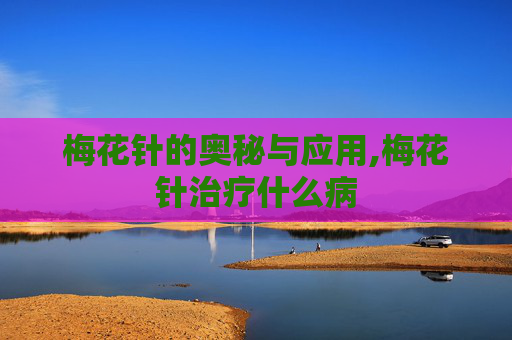 梅花针的奥秘与应用,梅花针治疗什么病 梅花针的奥秘与应用,梅花针治疗什么病