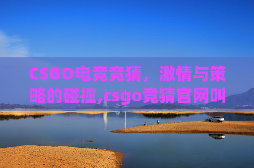CSGO电竞竞猜，激情与策略的碰撞,csgo竞猜官网叫什么