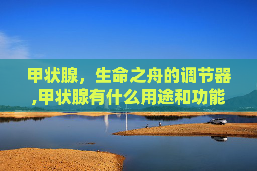 甲状腺，生命之舟的调节器,甲状腺有什么用途和功能
