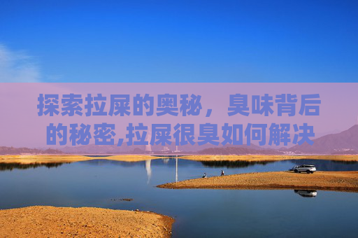 探索拉屎的奥秘，臭味背后的秘密,拉屎很臭如何解决