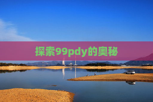 探索99pdy的奥秘
