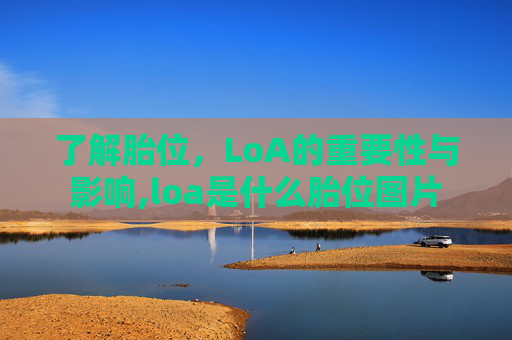 了解胎位，LoA的重要性与影响,loa是什么胎位图片