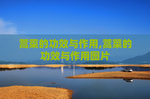 蒿菜的功效与作用,蒿菜的功效与作用图片