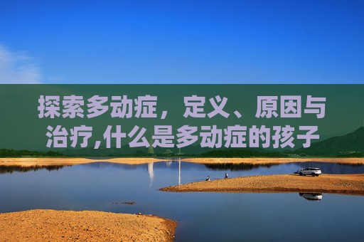 探索多动症，定义、原因与治疗,什么是多动症的孩子