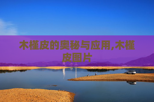 木槿皮的奥秘与应用,木槿皮图片