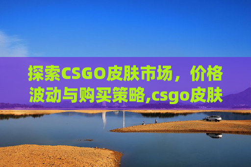 探索CSGO皮肤市场，价格波动与购买策略,csgo皮肤id怎么看