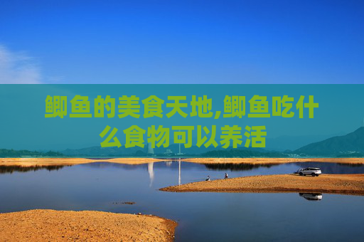 鲫鱼的美食天地,鲫鱼吃什么食物可以养活