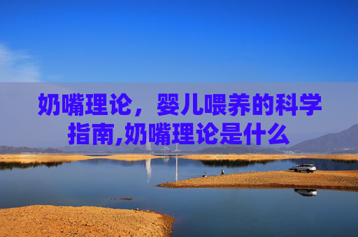 奶嘴理论，婴儿喂养的科学指南,奶嘴理论是什么