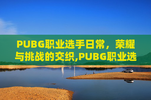 PUBG职业选手日常，荣耀与挑战的交织,PUBG职业选手名单大全