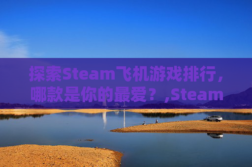 探索Steam飞机游戏排行，哪款是你的最爱？,Steam里面有哪些飞机模拟器