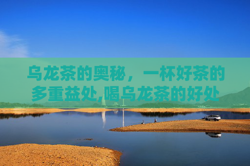 乌龙茶的奥秘，一杯好茶的多重益处,喝乌龙茶的好处与功效