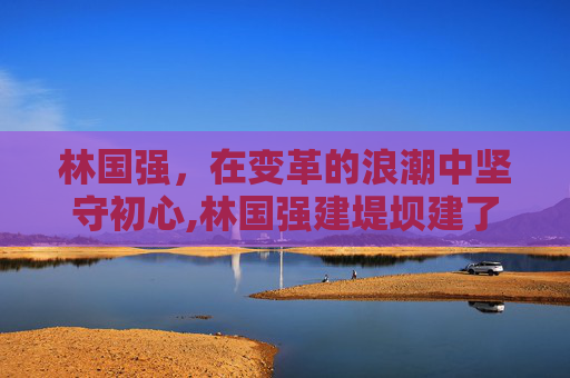 林国强，在变革的浪潮中坚守初心,林国强建堤坝建了几年