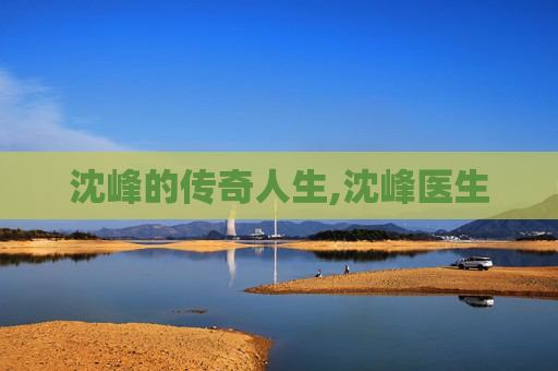 沈峰的传奇人生,沈峰医生