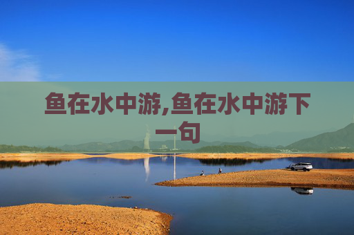 鱼在水中游,鱼在水中游下一句