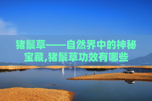 猪鬃草——自然界中的神秘宝藏,猪鬃草功效有哪些